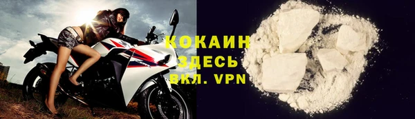 прущий лед Алзамай