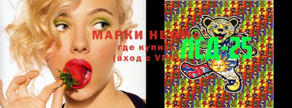 прущий лед Алзамай