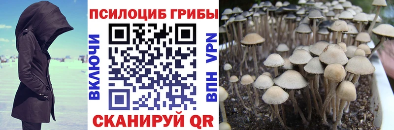Псилоцибиновые грибы Magic Shrooms Анадырь